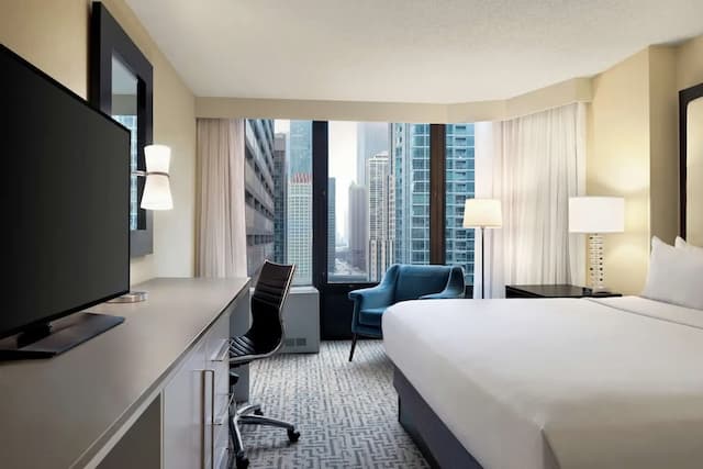 DoubleTree by Hilton Chicago - Magnificent Mile-King, Room, 1 King Bed, City View-1