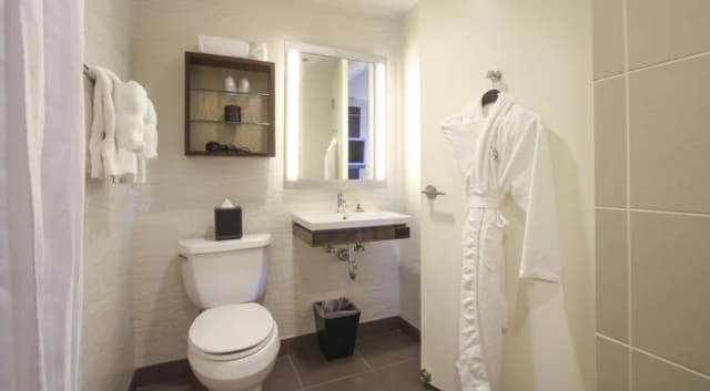 호텔 펠릭스 리버 노스/매그니피션트 마일-룸, 킹사이즈침대 1개, 장애인 지원 욕조-14