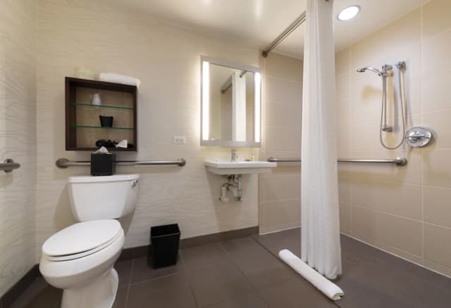 호텔 펠릭스 리버 노스/매그니피션트 마일-룸, 킹사이즈침대 1개, 장애인 지원 (Roll-in Shower)-17