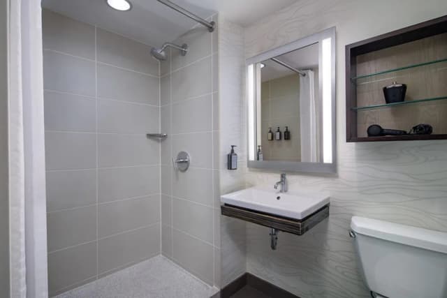 호텔 펠릭스 리버 노스/매그니피션트 마일-룸, 킹사이즈침대 1개, 장애인 지원 (Roll-in Shower)-19