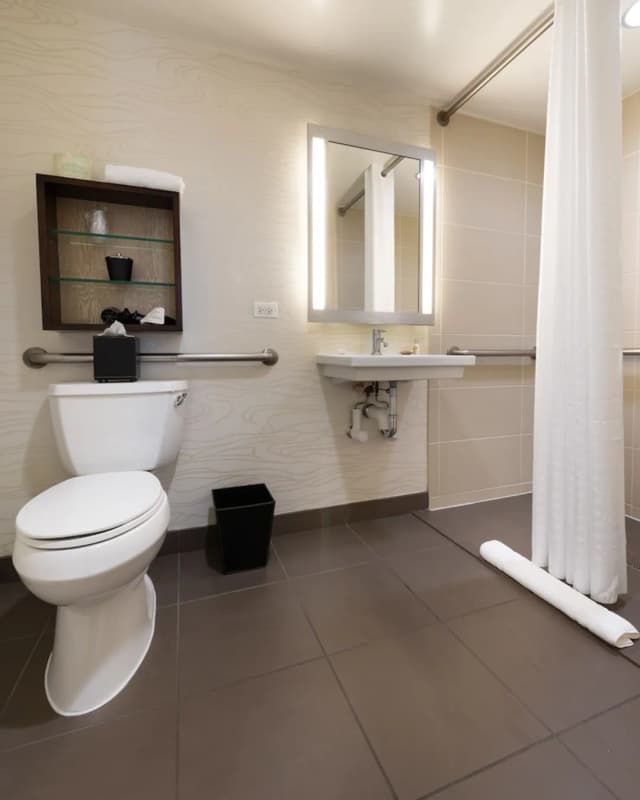 호텔 펠릭스 리버 노스/매그니피션트 마일-룸, 킹사이즈침대 1개, 장애인 지원 (Roll-in Shower)-16