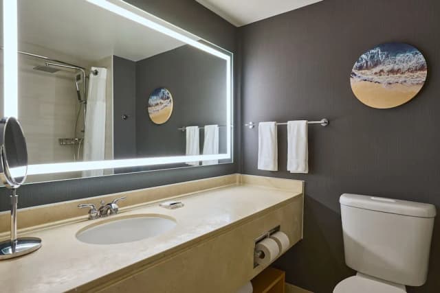 洛杉磯機場威斯汀飯店-傳統客房, 1 張特大雙人床和 1 張沙發床-6