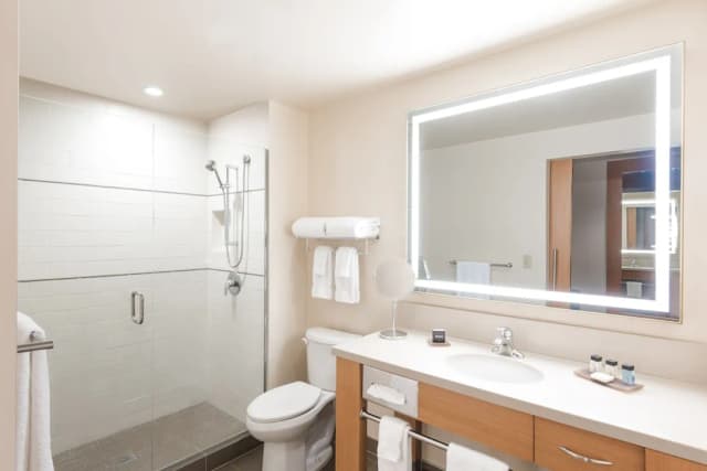 Cedarbrook Lodge-华丽客房, 1 张特大床-2