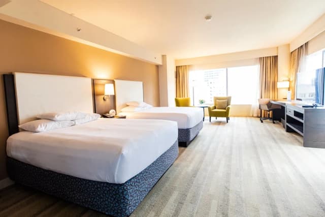 하얏트 앳 올리브 8-디럭스룸, 퀸사이즈침대 2개-3