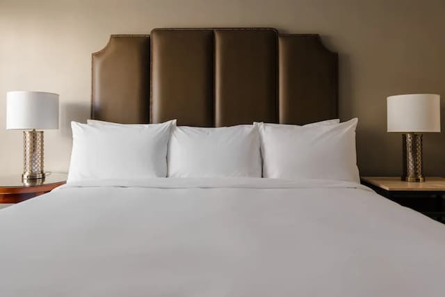 호텔 비쥬-디럭스룸, 킹사이즈침대 1개-7