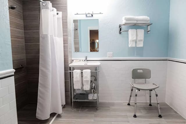 호텔 비쥬-디럭스룸, 퀸사이즈침대 1개, 롤인 샤워 시설-6