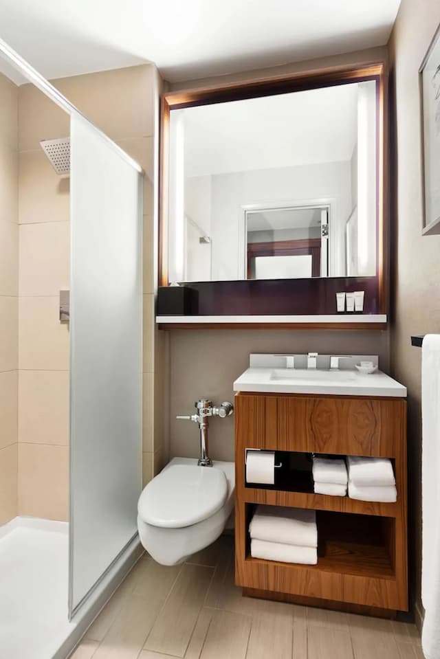 ハイアット グランド セントラル ニューヨーク-ルーム クイーンベッド 1 台 バリアフリー 浴槽-3