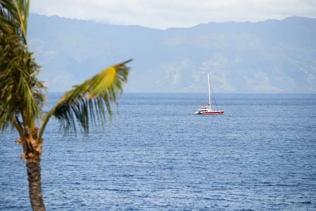 쉐라톤 마우이 리조트 & 스파-Moana Oceanfront King-3