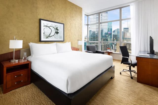 時代廣場百老匯千禧飯店-極品客房, 1 張特大雙人床 (Ball Drop View)-5