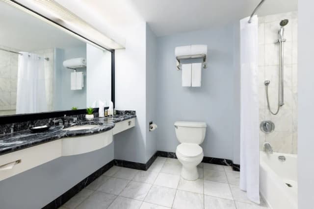 時代廣場百老匯千禧飯店-普通套房, 1 張特大雙人床-6