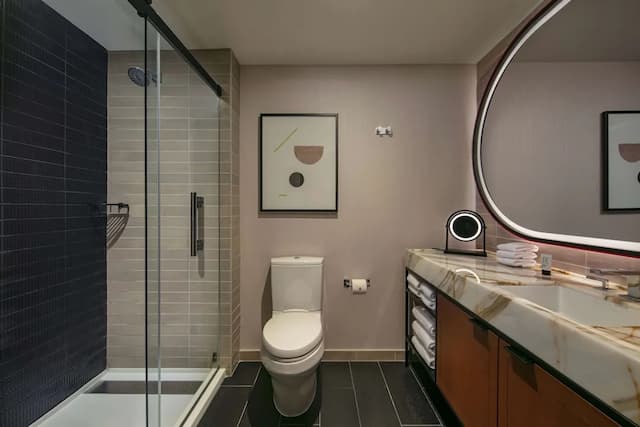 シウィット シカゴ ヒルトン  ホテル-ルーム キングベッド 1 台 禁煙-8