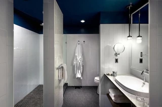 Thompson Chicago, by Hyatt-Room, 1 King Bed (High Floor)-2