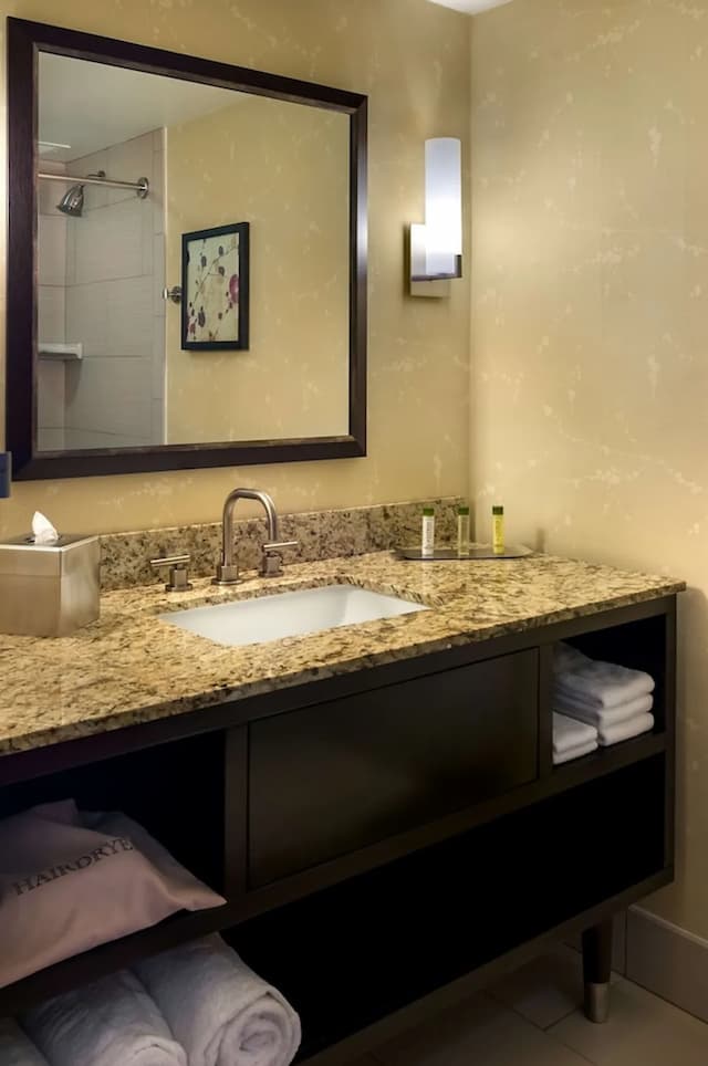 洛杉磯市中心希爾頓逸林酒店-客房, 2 張加大雙人床, 無障礙 (Roll-in Shower)-8