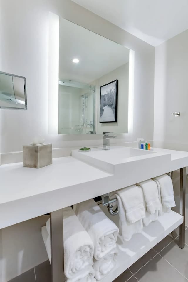 西雅圖機場麗笙酒店-客房, 1 張特大雙人床, 無障礙, 非吸煙房-6