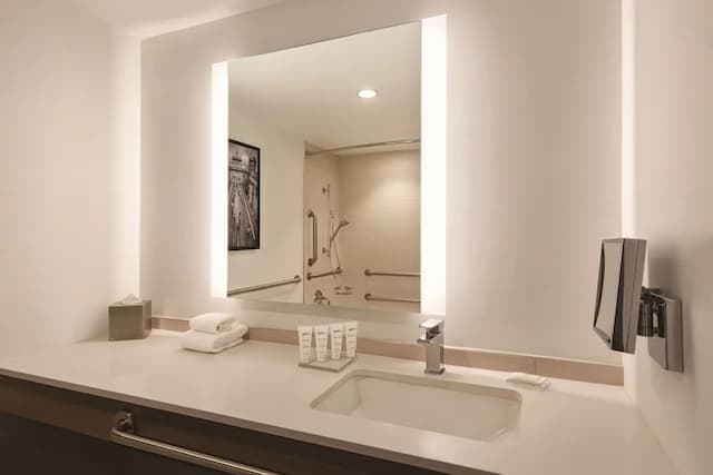 西雅圖機場麗笙酒店-客房, 1 張特大雙人床, 無障礙, 非吸煙房 (Roll-in Shower)-4