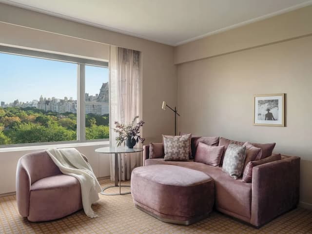 紐約柏寧飯店-開放式套房, 公園景觀-7