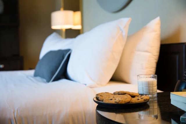 芝加哥河北皇家索內斯塔酒店-普通套房, 1 張特大雙人床, 無障礙, 浴缸 (Spa Suite)-2