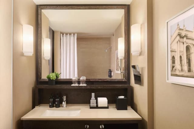 芝加哥河北皇家索內斯塔酒店-豪華客房, 1 張特大雙人床, 無障礙, 城市景 (Tub)-5