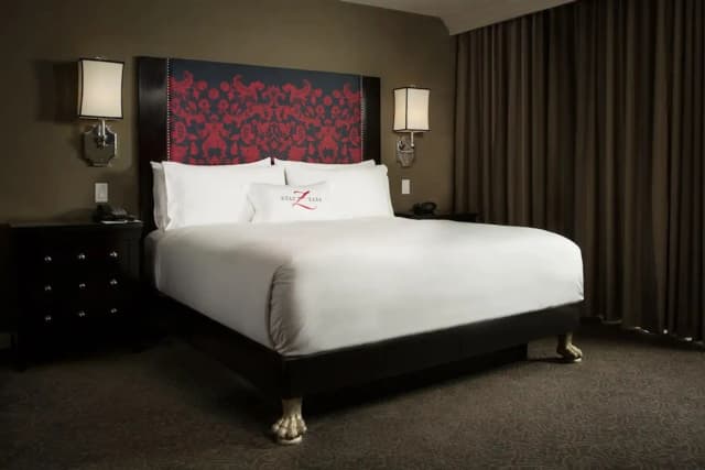 休士頓博物館區紮紮飯店-標準客房, 1 張特大雙人床, 陽台-1