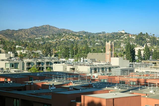 W 好萊塢飯店-套房, 1 張特大雙人床-9