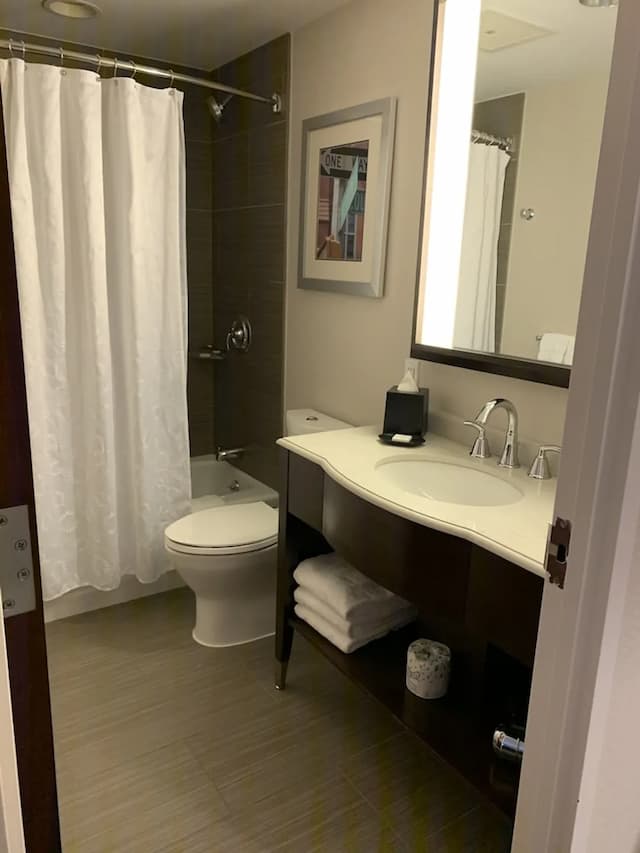 쉐라톤 브루클린 뉴욕 호텔-룸, 더블침대 2개-6