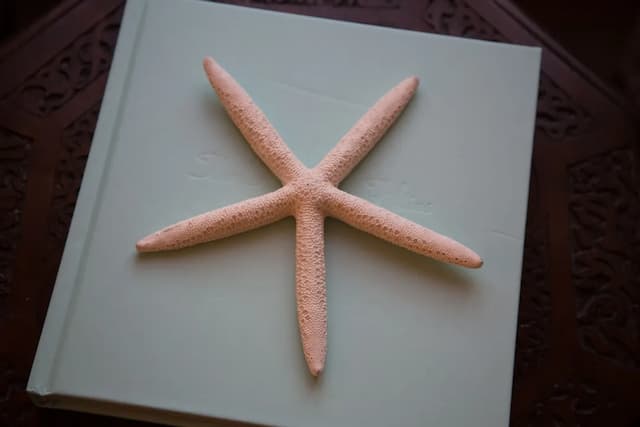 卡薩戴爾馬爾酒店-尊貴客房, 1 張特大雙人床, 海景-4