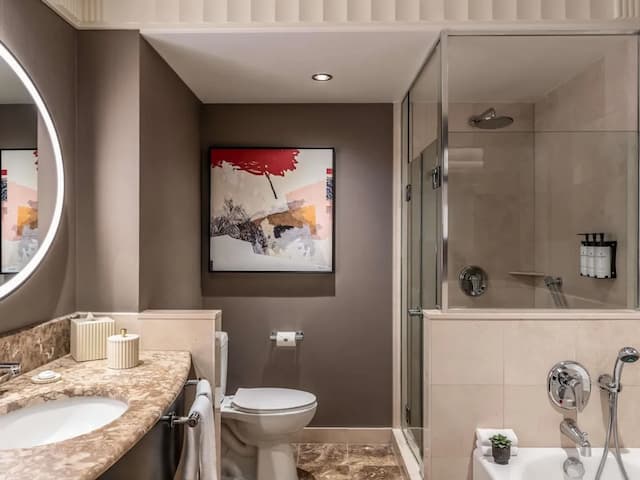 Sofitel New York-套房, 露台-4