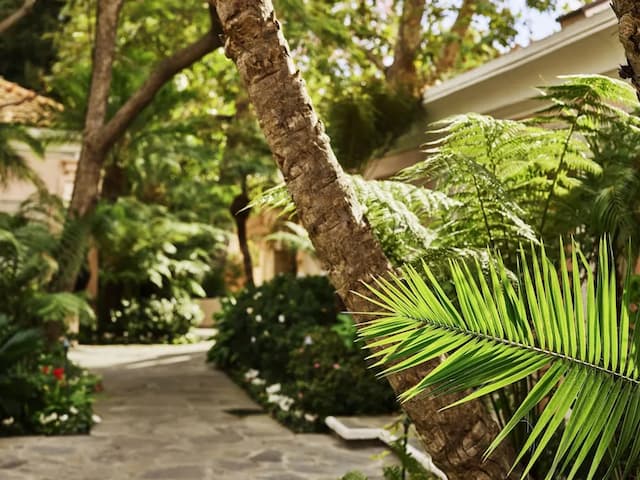 多徹斯特精品連鎖貝萊爾酒店-豪華客房, 1 張特大雙人床, 露台-7