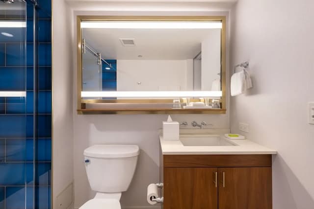 Le Méridien Essex Chicago-华丽客房, 2 张双人床 (Hearing Accessible)-8