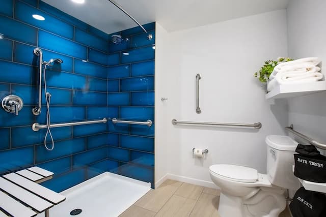 Le Méridien Essex Chicago-华丽客房, 1 张特大床 (Mobility Accessible, Tub)-5