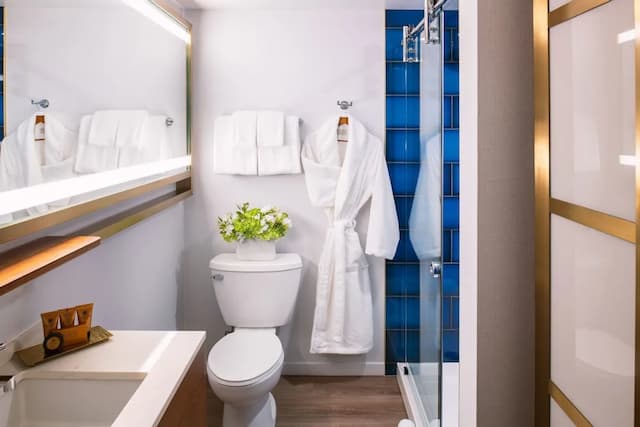 Le Méridien Essex Chicago-经典客房, 1 张特大床-6