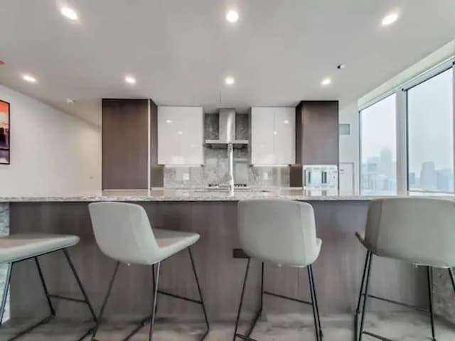 Level Chicago – Old Town-华丽客房, 1 张大床和 1 张沙发床, 城市景观-6