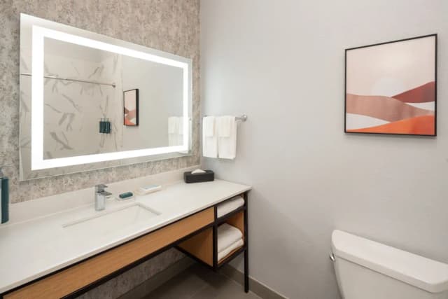 DoubleTree by Hilton Houston Westchase-Room, 1 King Bed-12