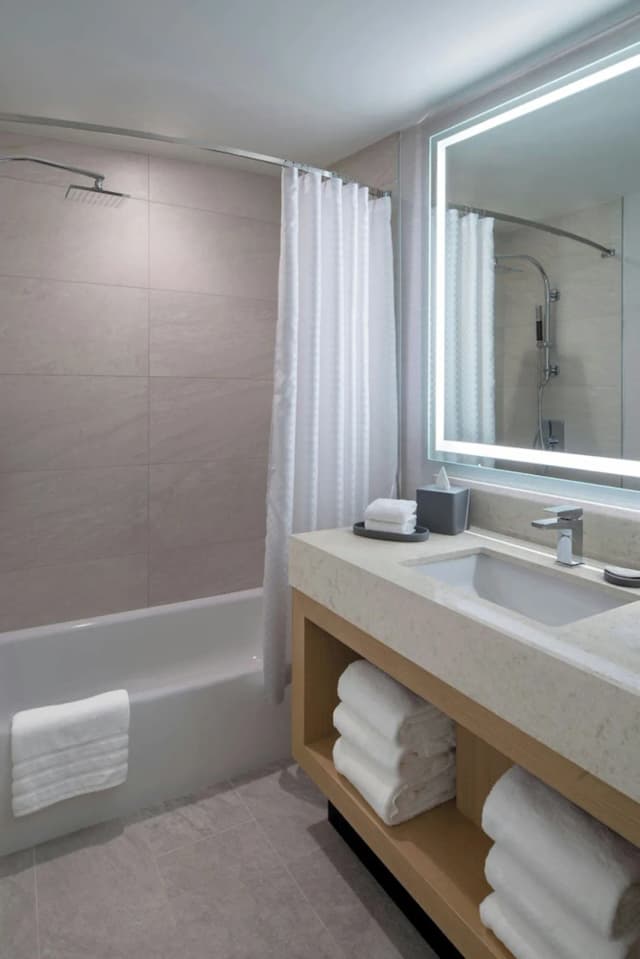 ザ ウェスティン ヒューストン メディカル センター / ミュージアム ディストリクト-デラックス ルーム クイーンベッド 2 台-3