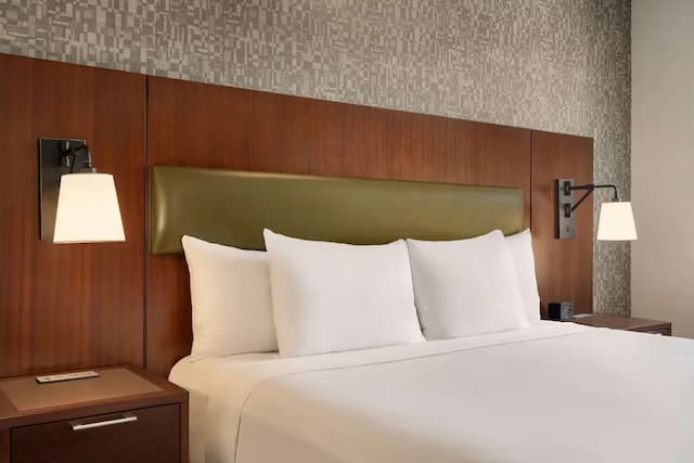 紐約市中心希爾頓逸林酒店-客房, 1 張特大雙人床, 非吸煙房, 城市景-2