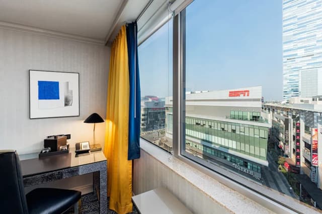 E-Central Downtown Los Angeles Hotel-Deluxe Room, 1 King Bed-4