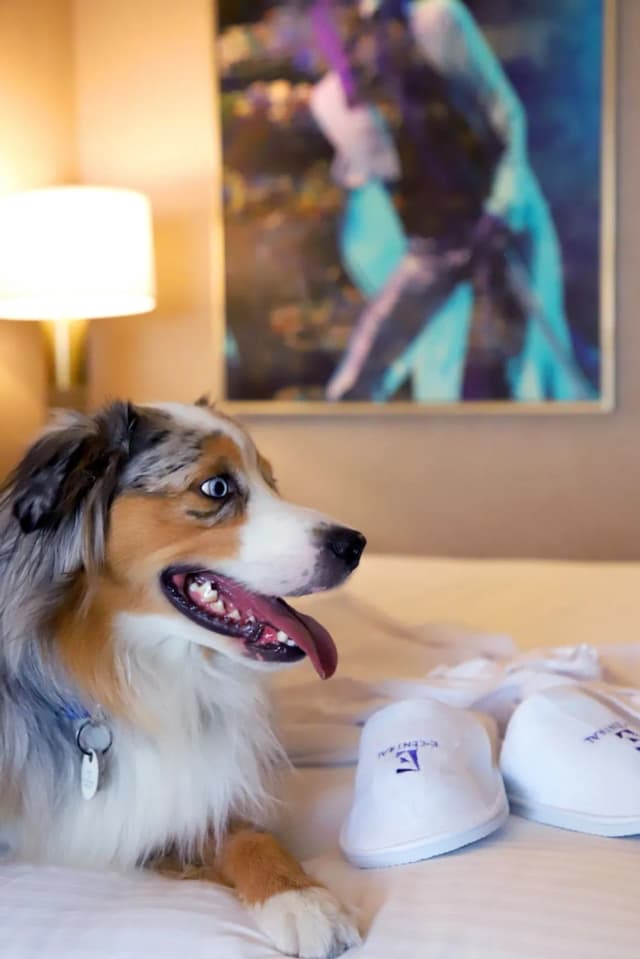 E-Central Downtown Los Angeles Hotel-Deluxe Room, 1 King Bed-5