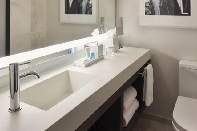 Conrad New York Downtown-Suite, 1 King Bed, River View-4