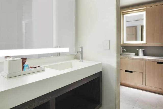 Conrad New York Downtown-Deluxe Suite, 1 King Bed with Sofa bed-3