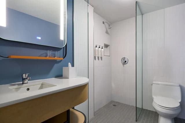 Delta Hotels by Marriott New York Times Square-客房, 1 張特大雙人床 (Mobility/Hearing Access, Roll-in Shwr)-4