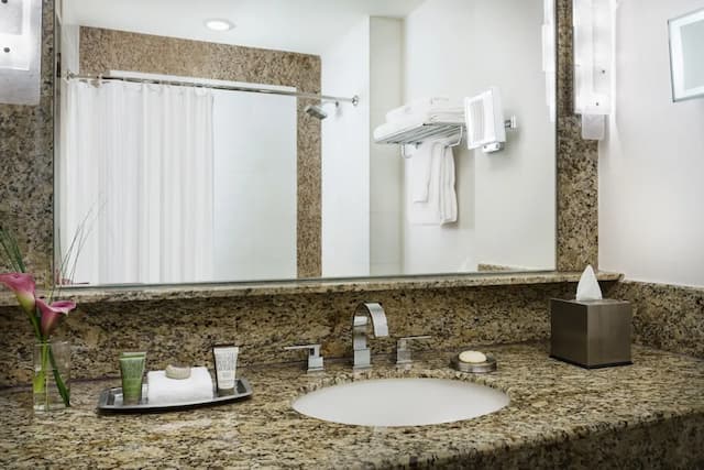 勒戴紐約皇宮飯店-客房, 1 張特大雙人床 (Cathedral View)-4