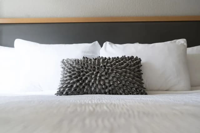 Hotel Saint Clair- Magnificent Mile-Standard Room, 1 King Bed-3