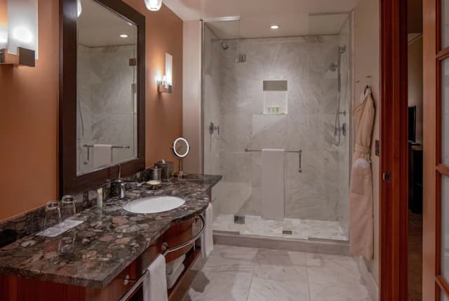 Grand Hyatt Seattle-Room, 1 King Bed, Accessible (Shower)-4