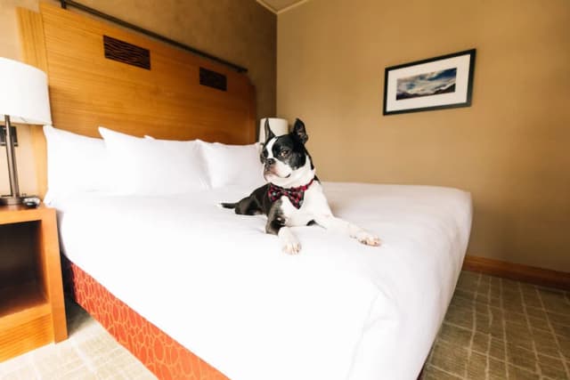 Grand Hyatt Seattle-Room, 1 King Bed, Accessible (Shower)-2