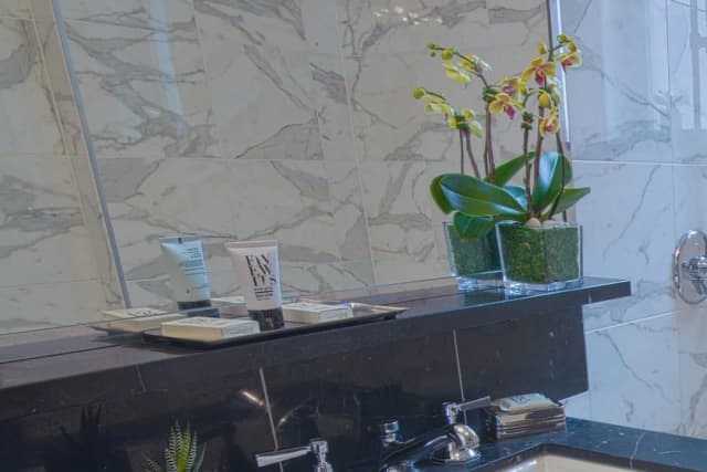 紐約易洛魁飯店-尊榮客房, 1 張加大雙人床 (Chrysler View)-7