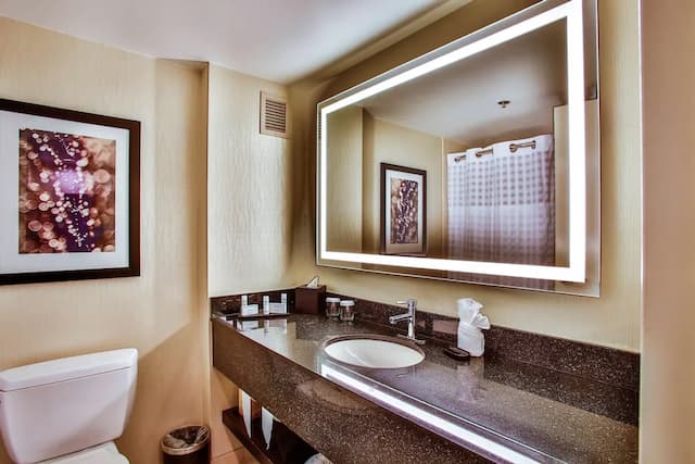 エンバシー スイーツ バイ ヒルトン シカゴ ダウンタウン マグニフィセント マイル-スイート ベッド (複数台) 禁煙-2