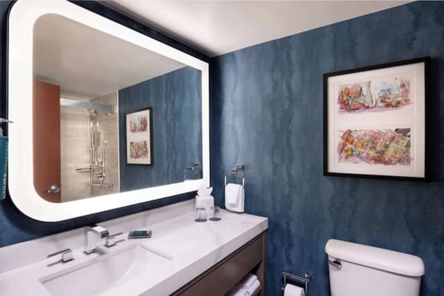 ダブルツリー バイ ヒルトン ヒューストン メディカル センター ホテル & スイーツ-ジュニア ルーム キングベッド 1 台 キッチン-10