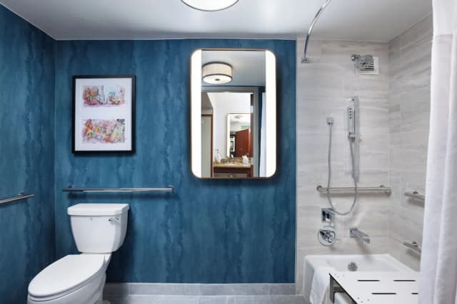 ダブルツリー バイ ヒルトン ヒューストン メディカル センター ホテル & スイーツ-ジュニア スイート キングベッド 1 台 バリアフリー 浴槽-3