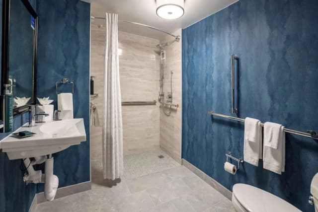 ダブルツリー バイ ヒルトン ヒューストン メディカル センター ホテル & スイーツ-スタジオスイート キングベッド 1 台 バリアフリー (Roll-In Shower)-3