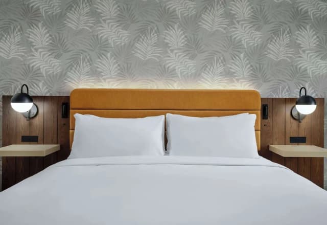 Sonesta Los Angeles Airport LAX-Deluxe Room, 1 King Bed, Accessible (Mobility/Hearing Bathtub)-4
